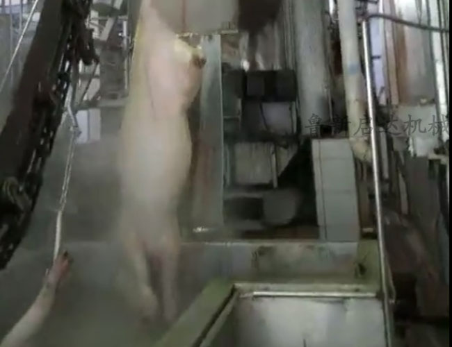 立式洗主機(jī)價(jià)格 立式洗主機(jī)價(jià)格