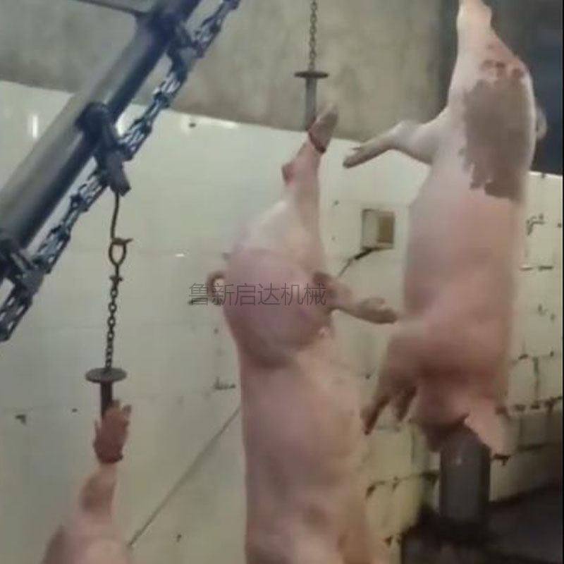 毛豬活掛機(jī)簡介 毛豬活掛機(jī)簡介